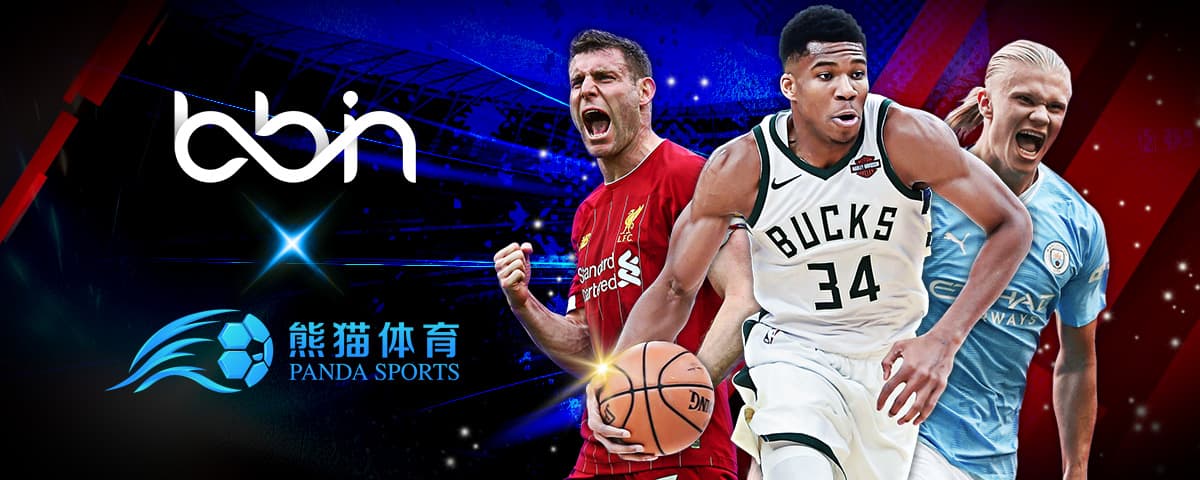 与他们整体